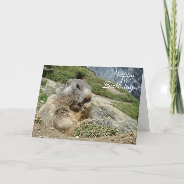 Marmot Birthday Karte (Vorderseite)
