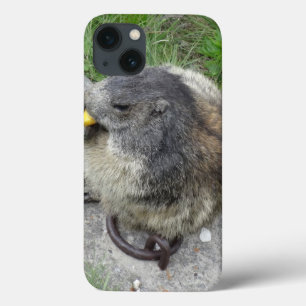 Marmot coque ipad