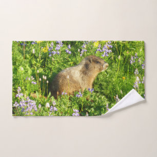 Marmot dans le Mont Rainier Fleurs sauvages