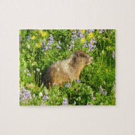 Marmot in den Wildblumen des Berges Rainier