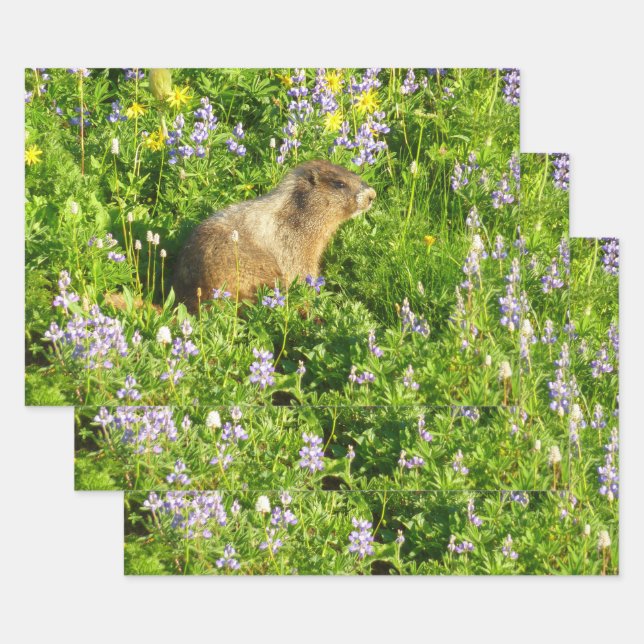 Marmot in den Wildblumen des Berges Rainier Geschenkpapier Set (Set)