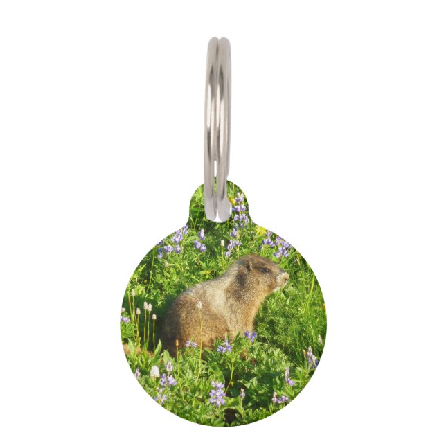 Marmot in den Wildblumen des Berges Rainier Haustiermarke (Vorderseite)