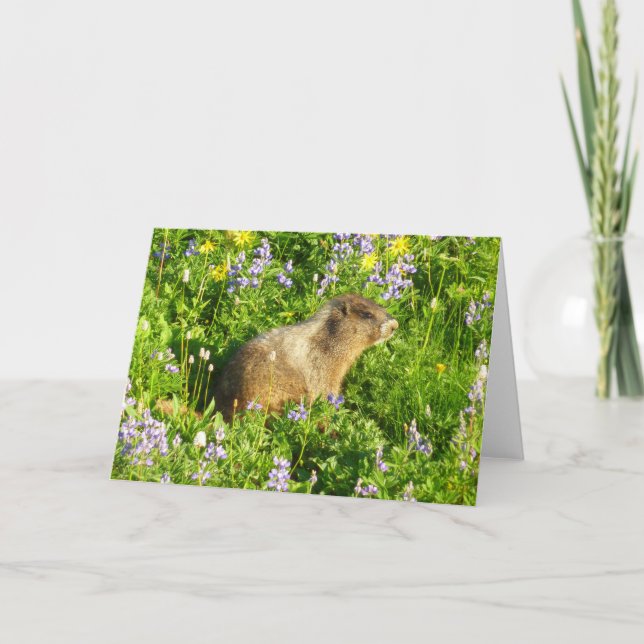 Marmot in den Wildblumen des Berges Rainier Karte (Vorderseite)