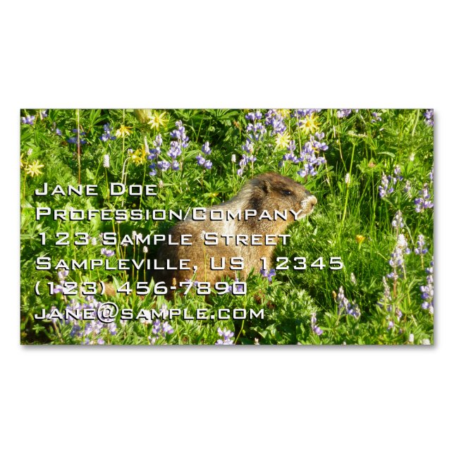 Marmot in den Wildblumen des Berges Rainier Magnetische Visitenkarte (Vorderseite)