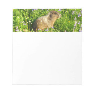 Marmot in den Wildblumen des Berges Rainier Notizblock