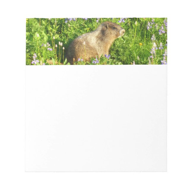 Marmot in den Wildblumen des Berges Rainier Notizblock (Vorderseite)