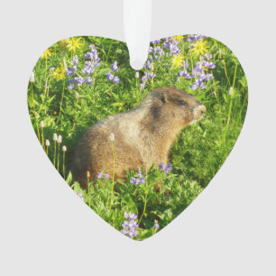 Marmot in den Wildblumen des Berges Rainier Ornament