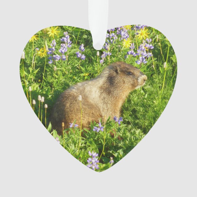 Marmot in den Wildblumen des Berges Rainier Ornament (Vorderseite)