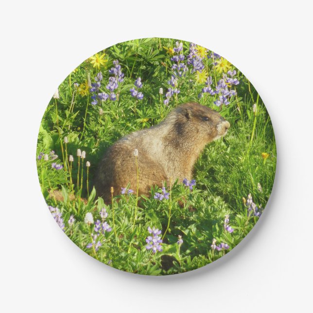 Marmot in den Wildblumen des Berges Rainier Pappteller (Vorderseite)