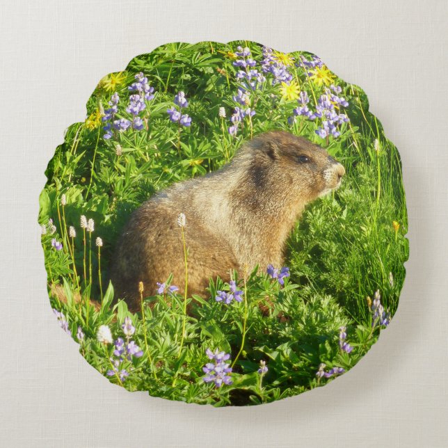 Marmot in den Wildblumen des Berges Rainier Rundes Kissen (Vorderseite)