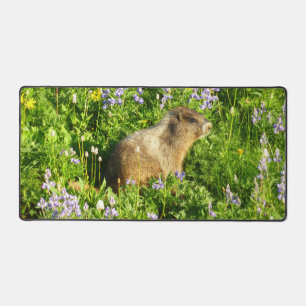 Marmot in den Wildblumen des Berges Rainier Schreibtischunterlage