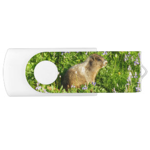 Marmot in den Wildblumen des Berges Rainier USB Stick
