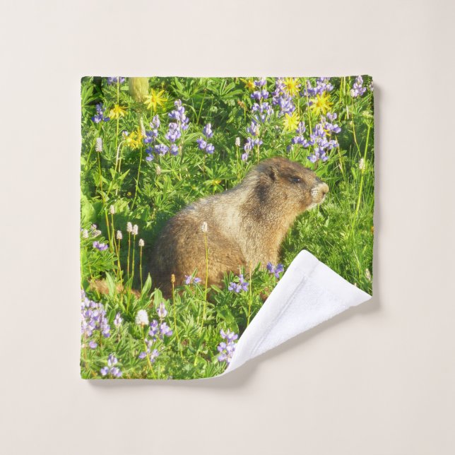 Marmot in den Wildblumen des Berges Rainier Waschlappen (Waschlappen)