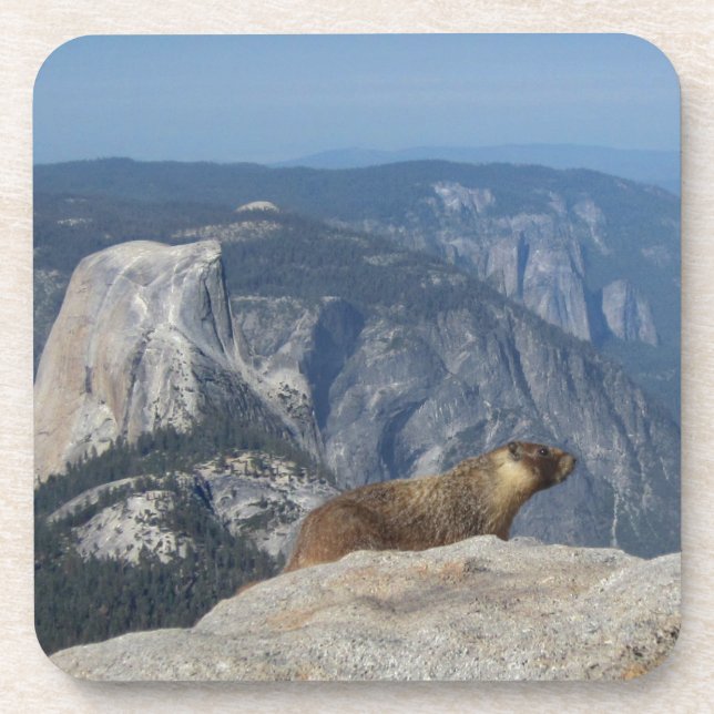 Marmot mit Blick auf den Halbkuppel von der Clouds Untersetzer (Vorderseite)