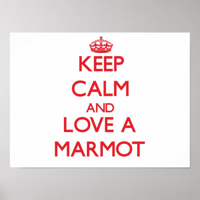 Marmot Poster (Vorne)