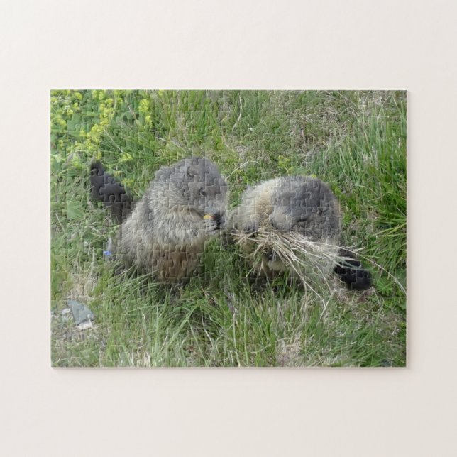 Marmot-Puzzle (Horizontal)