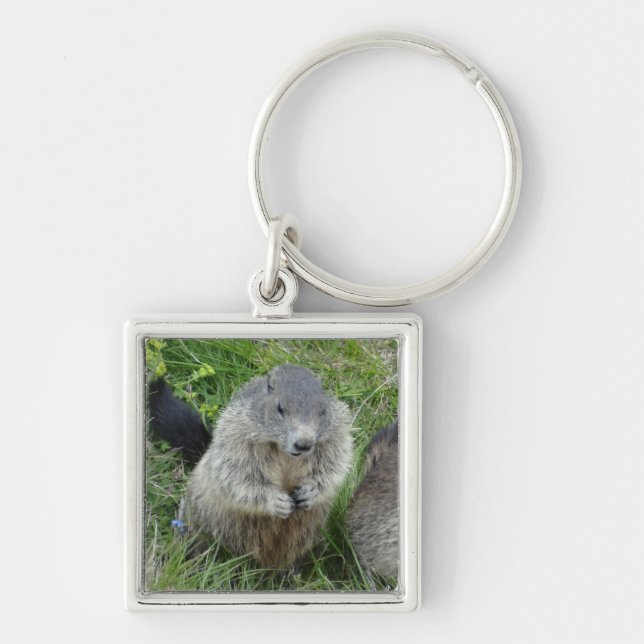 Marmot-Schlüsselkette Schlüsselanhänger (Vorne)
