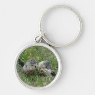 Marmot-Schlüsselkette Schlüsselanhänger