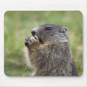 Marmota Mousepad