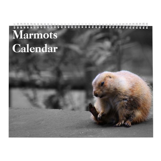 Marmots-Kalender 2026 Kalender (Titelbild)