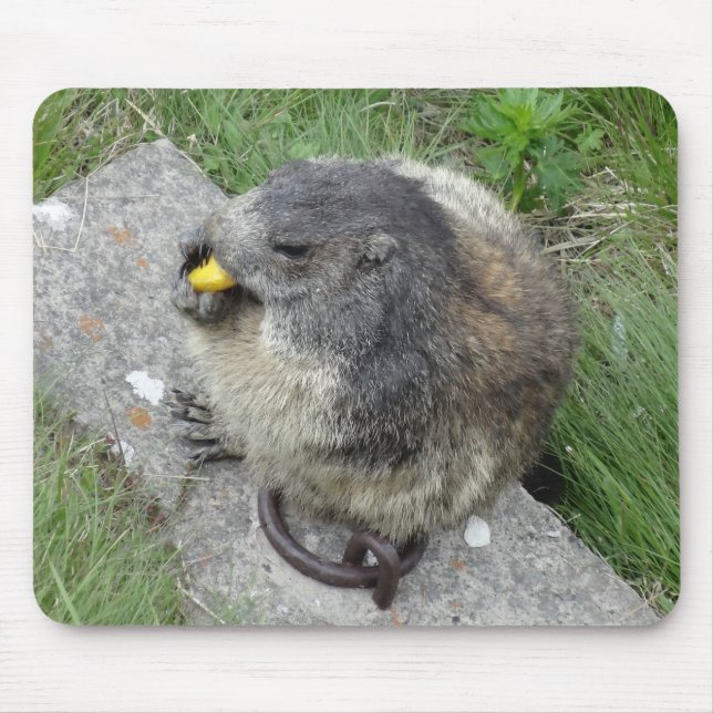 Marmots mousepad (Vorne)