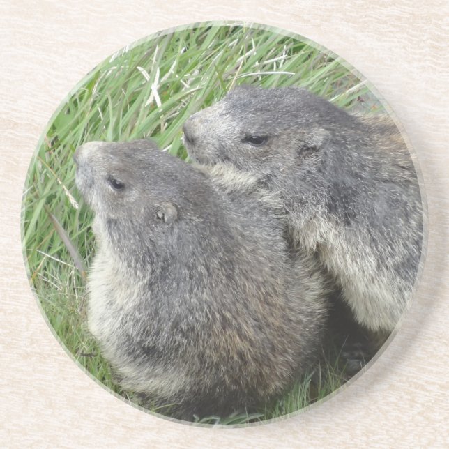 Marmots Untersetzer (Vorne)