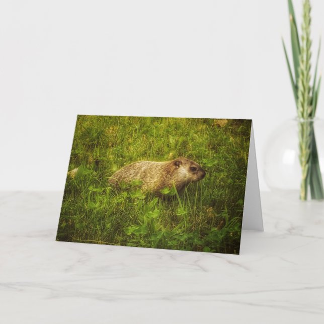 Marmotte dans une carte de voeux de terrain (Devant)