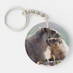 Marmotte mère avec bébé
