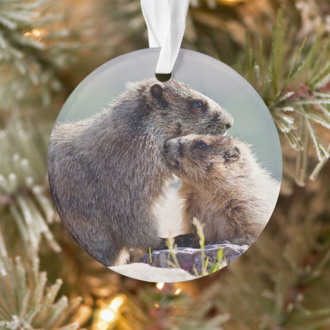 Marmotte mère avec bébé (Arbre)