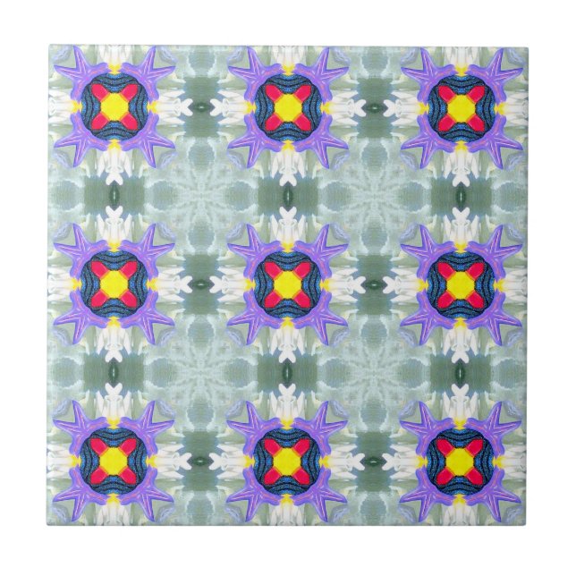 Marokkanisch-mehrfarbige geometrische Fliese (Vorderseite)