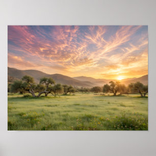 Marokkanischer Olivenhain-Sonnenuntergang - Rosa g Poster