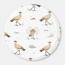 Marokkanisches Cremefarbenes Courser-Vogelmuster