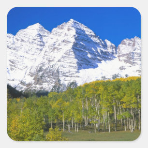Maroon Bells mit Herbst-Espenwald. Quadratischer Aufkleber