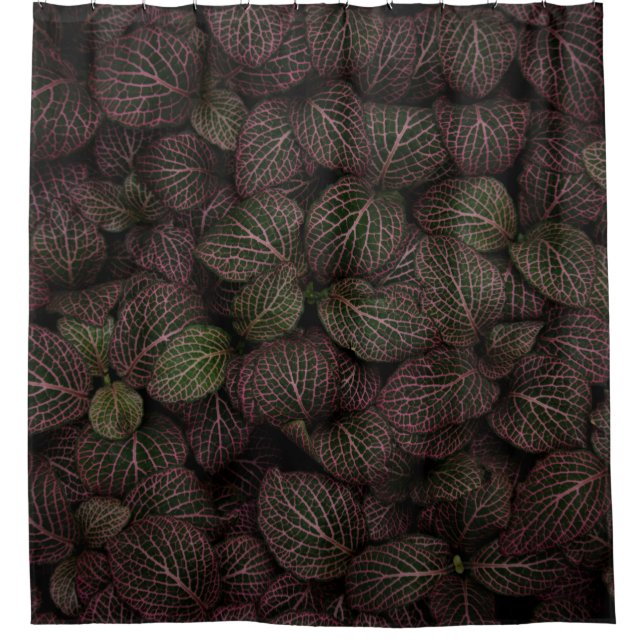 Maroon-Blume Duschvorhang (Vorderseite)
