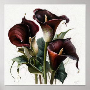 Maroon Calla Lilies Lily Blume Poster