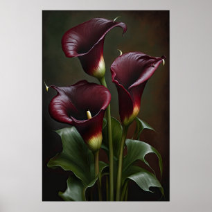 Maroon Calla Lilies Lily Blume Poster