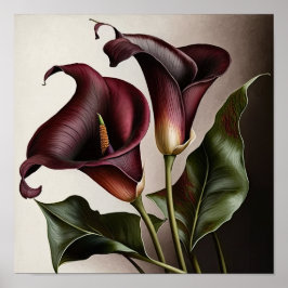 Maroon Calla Lilies Lily Blume Poster