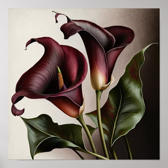 Maroon Calla Lilies Lily Blume Poster (Vorne)
