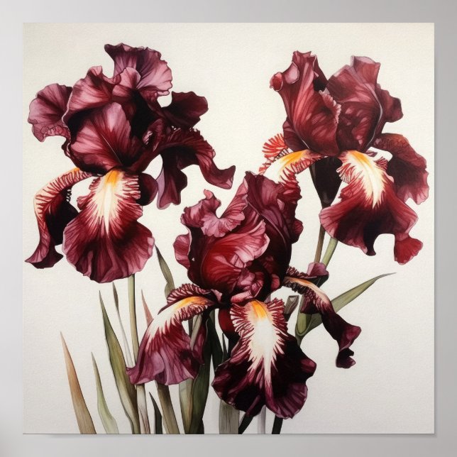 Maroon Irises Flower Art Imprimer Poster (Devant)