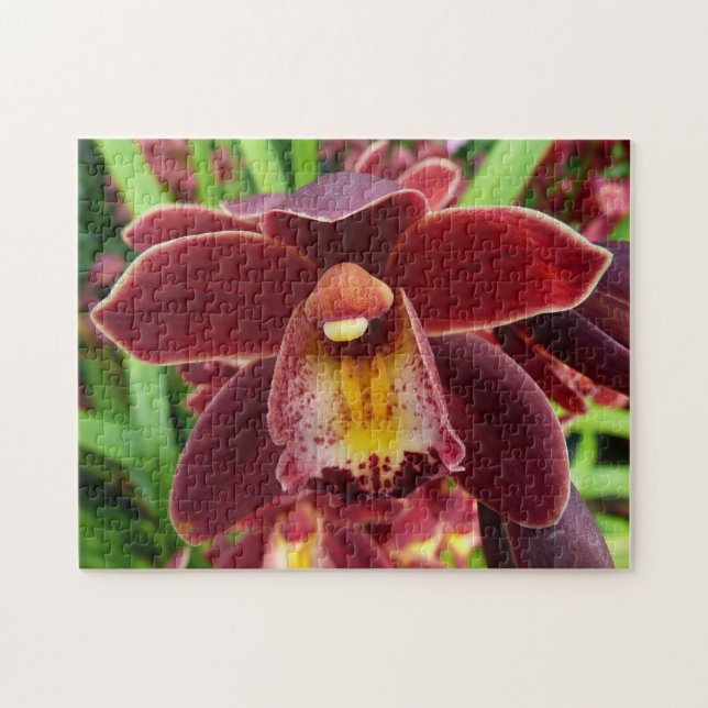 Maroon Orchids I Beautiful Red Floral (Horizontal)