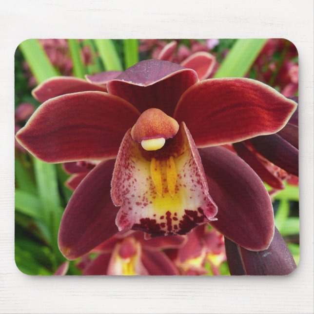 Maroon Orchids I Beautiful Red Floral Mousepad (Vorne)