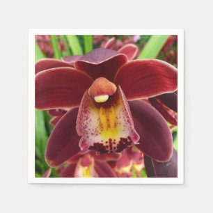 Maroon Orchids I Beautiful Red Floral Serviette
