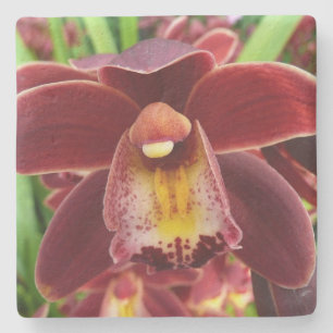 Maroon Orchids I Beautiful Red Floral Steinuntersetzer