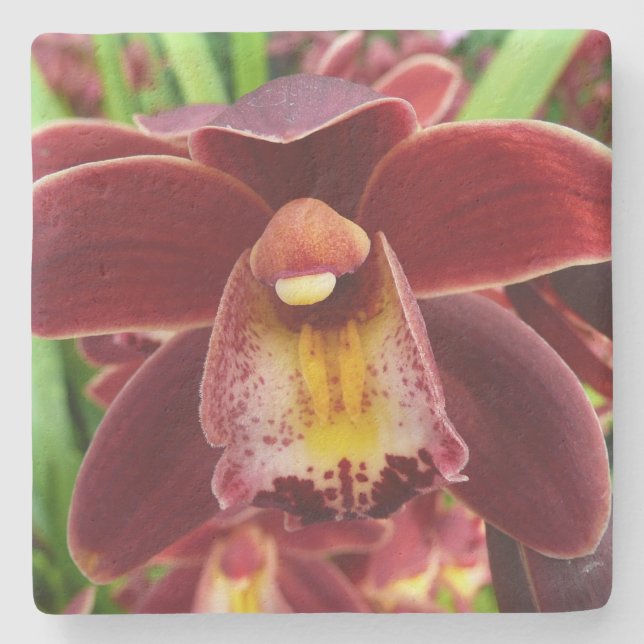 Maroon Orchids I Beautiful Red Floral Steinuntersetzer (Vorderseite)