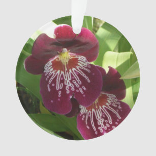 Maroon Orchids II Elegante Ornament