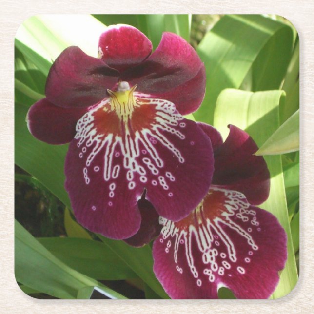 Maroon Orchids II Elegante Rechteckiger Pappuntersetzer (Vorderseite)