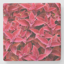 Maroon Red Coleus Texture, Stone Untersetzer