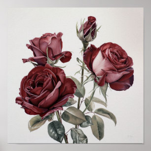Maroon Rose Blume Art Print Poster