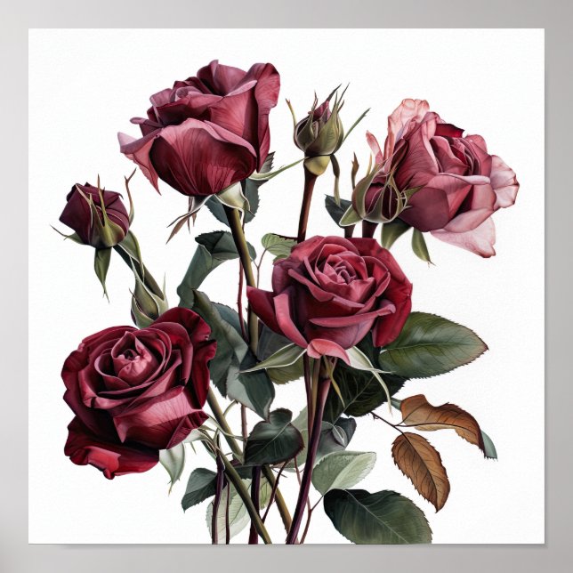 Maroon Rose Flower Art Imprimer Poster (Devant)