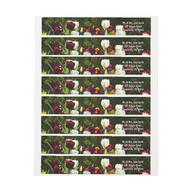 Maroon und Gelbe Tulips farbenfrohe Blumen (Bogen)